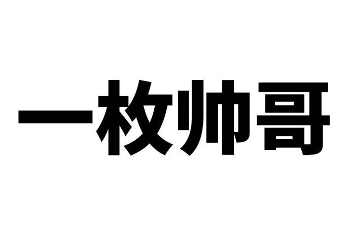 商标文字一枚帅哥商标注册号 46505665,商标申请人上海发锐贸易有限
