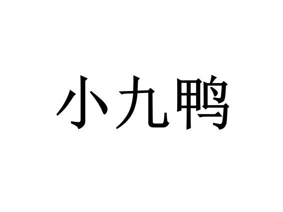 商标文字小九鸭商标注册号 24083582,商标申请人胡爱军的商标详情