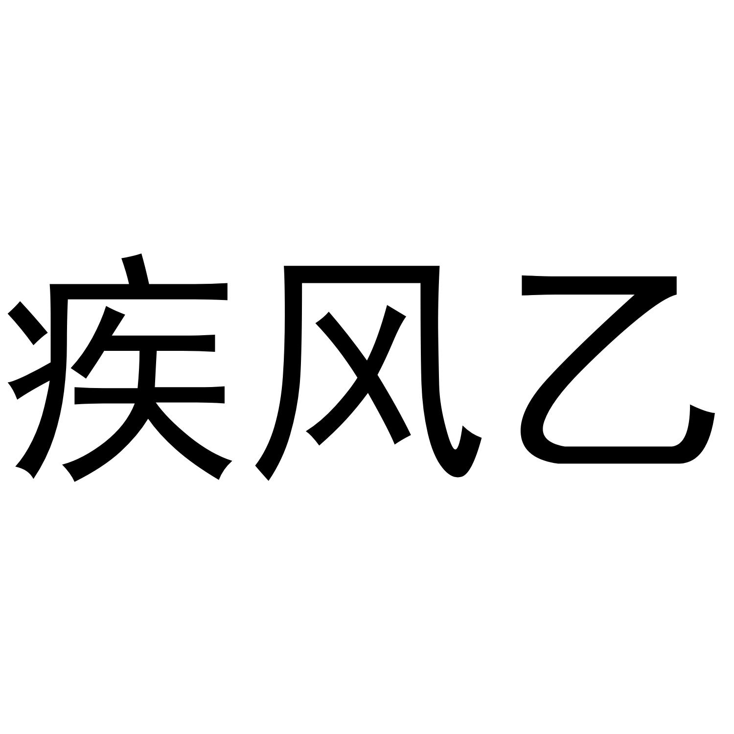 商标文字疾风乙商标注册号 41557974,商标申请人盐城市水木电子科技