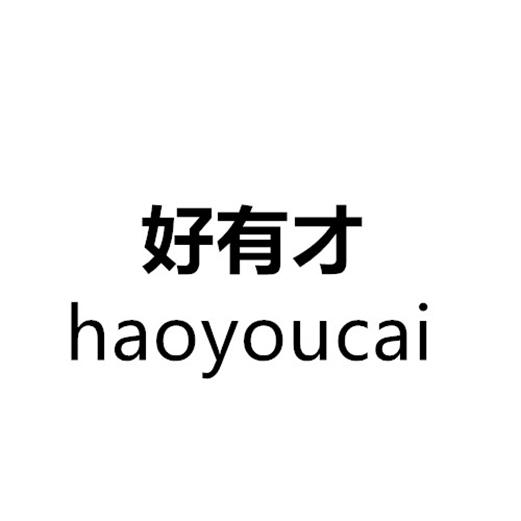 商标文字好有才商标注册号 48067846,商标申请人潍坊与您同盛商贸有限