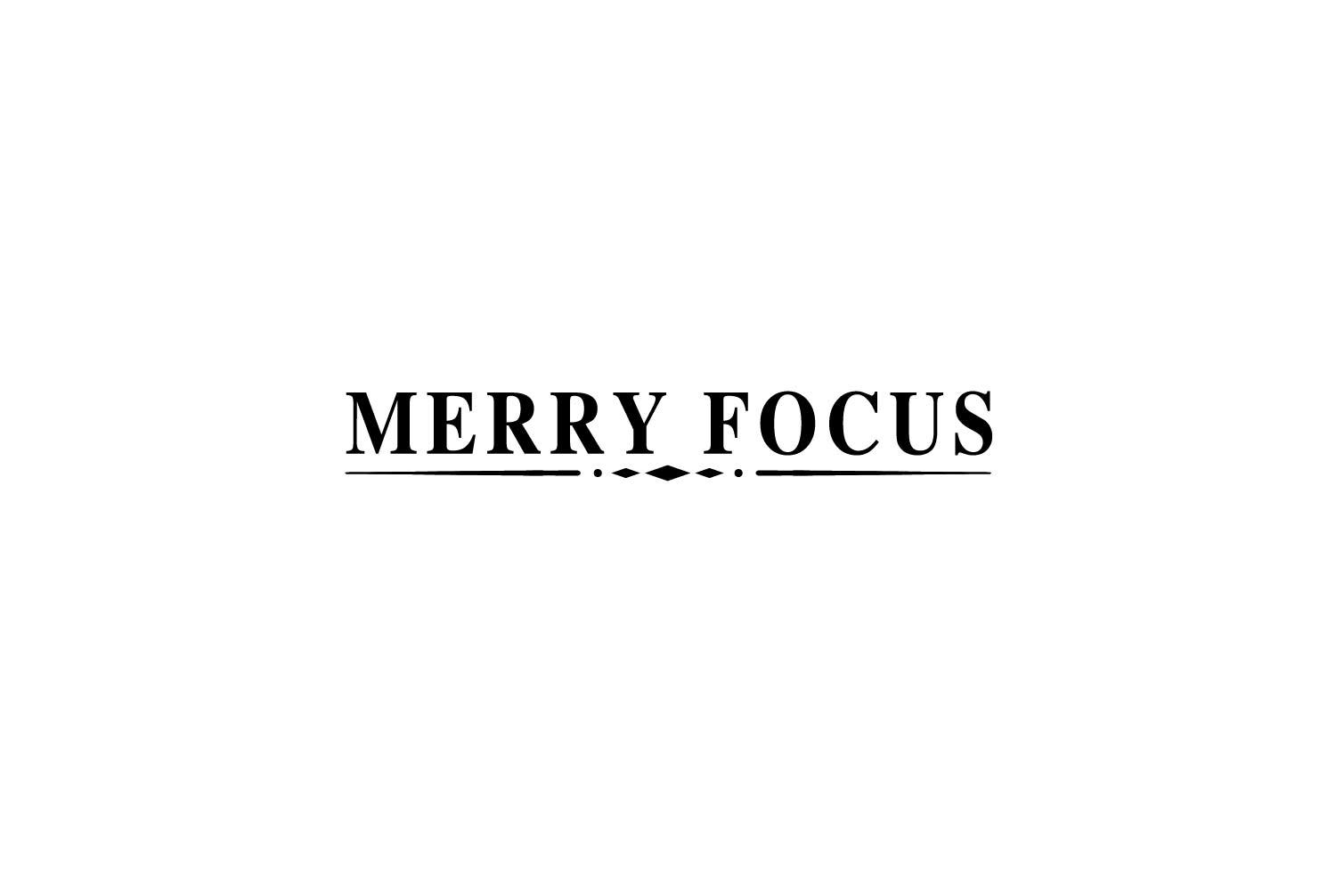 转让商标-MERRY FOCUS