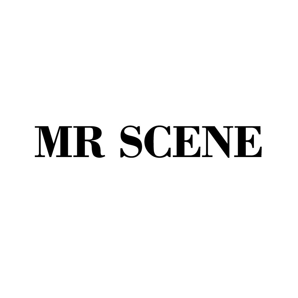 转让商标-MR SCENE