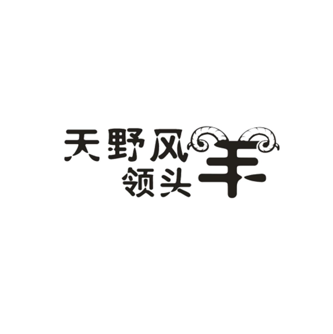 商标文字天野风领头羊商标注册号 36307942,商标申请人高发军的商标