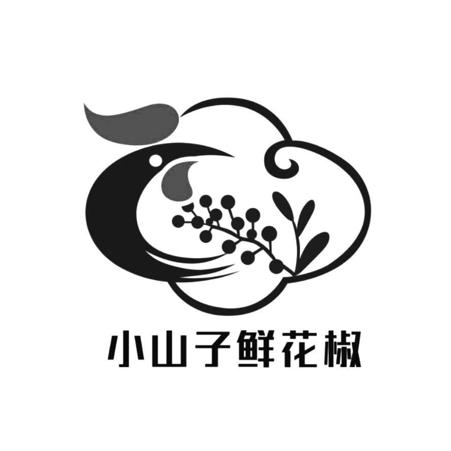 商标文字小山子鲜花椒商标注册号 48042458,商标申请人山子杰的商标