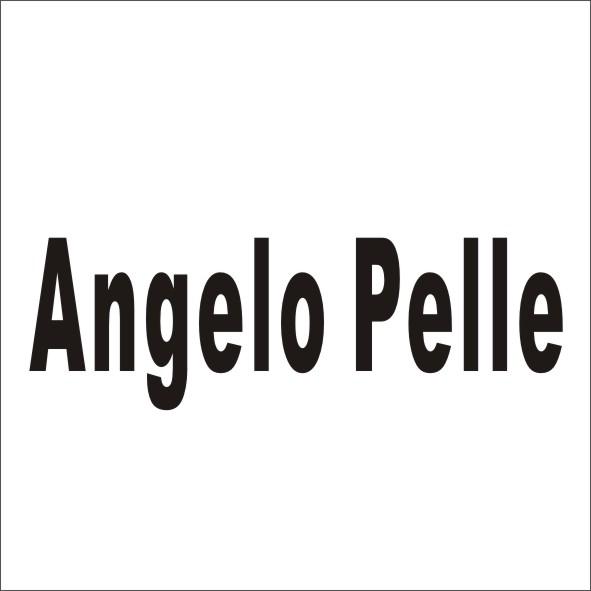 转让商标-ANGELO PELLE