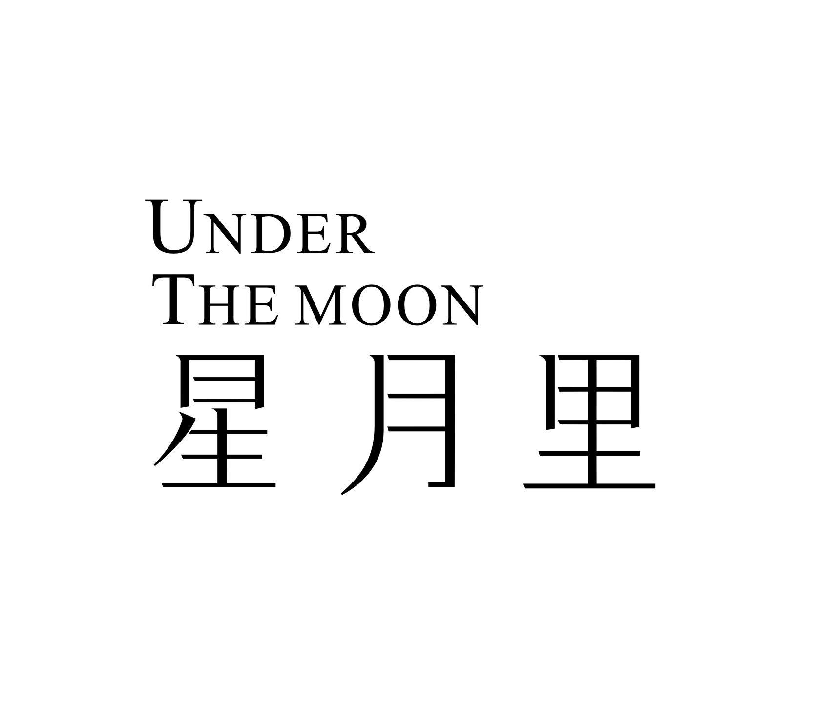 商标文字星月里 under themoon商标注册号 49048210,商标申请人李维斯