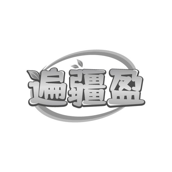 转让商标-遍疆盈