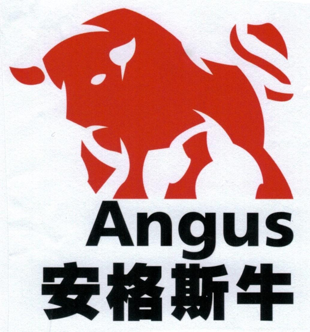 商标文字安格斯牛 angus商标注册号 41069332a,商标申请人北京琪超