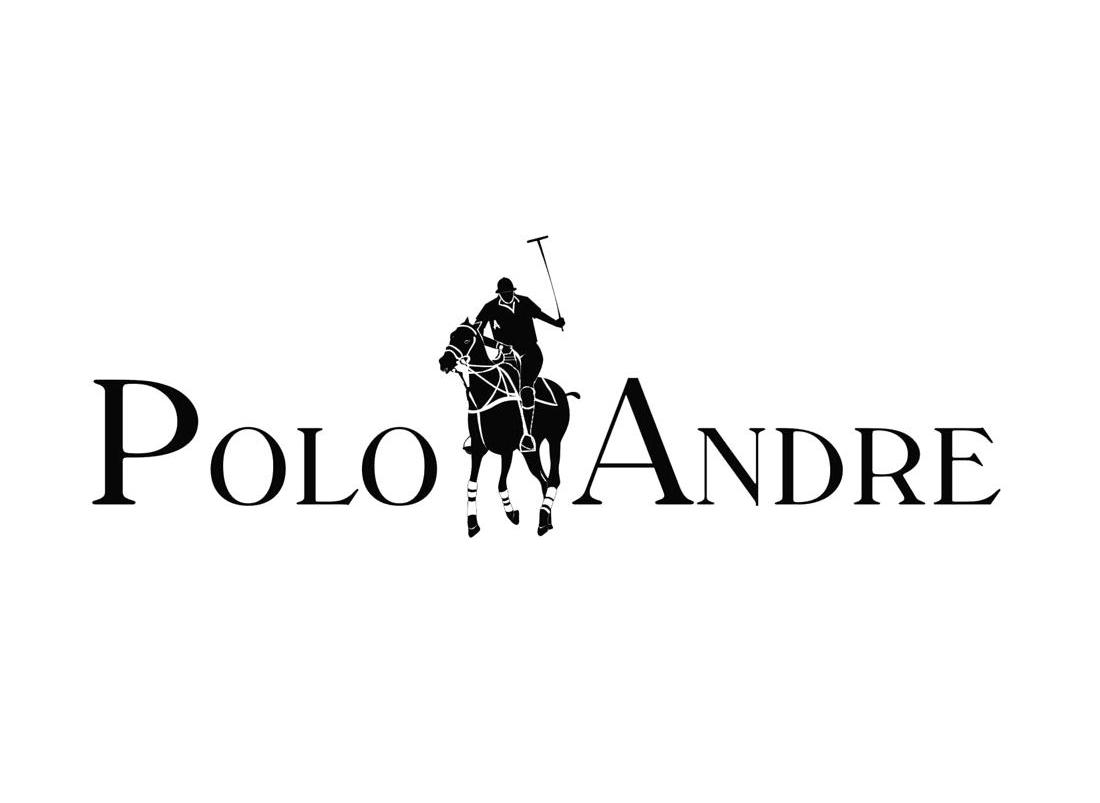 商標文字polo andre商標註冊號 10264257,商標申請人上海保羅安德瑞