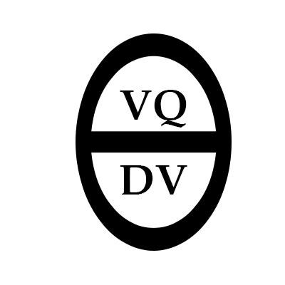 转让商标-VQ DV