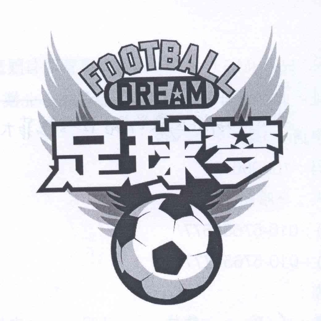 商标文字足球梦 football dream商标注册号 12892449,商标申请人央视
