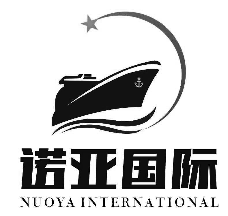 商标文字诺亚国际 nuoya international商标注册号 48585894,商标申请