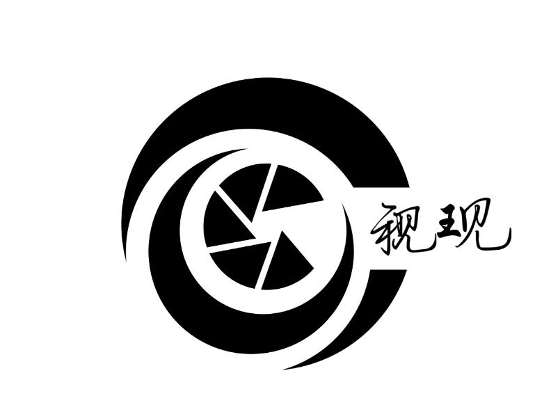 商标文字视现商标注册号 48087529,商标申请人李斐的商标详情 - 标库