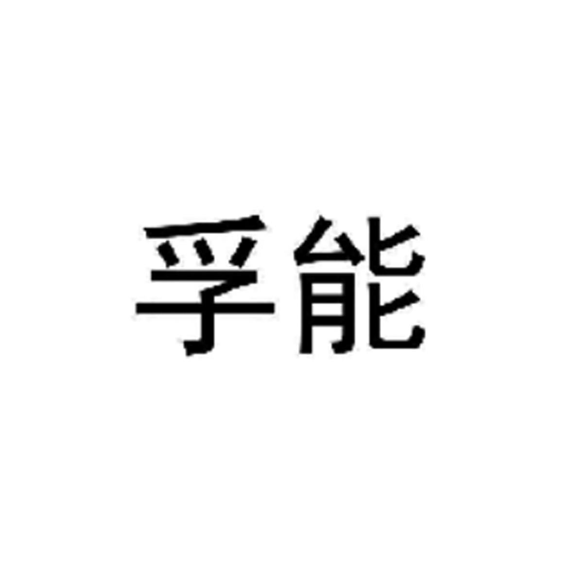 商标文字孚能商标注册号 55742851,商标申请人孚能集团有限公司的商标