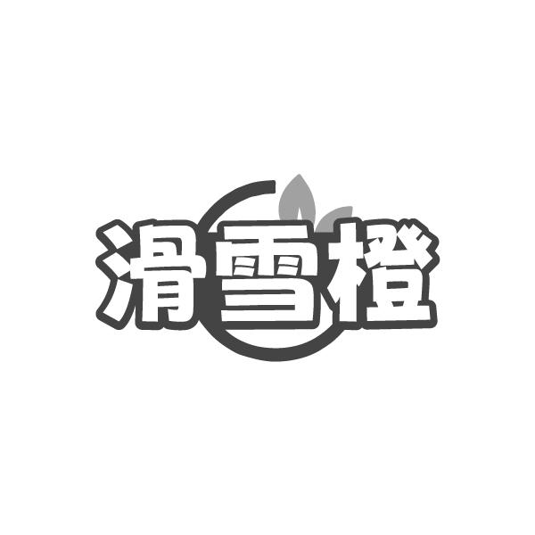 转让商标-滑雪橙