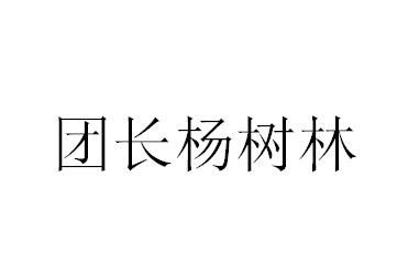 商标文字团长杨树林商标注册号 30387150,商标申请人王婷婷的商标详情