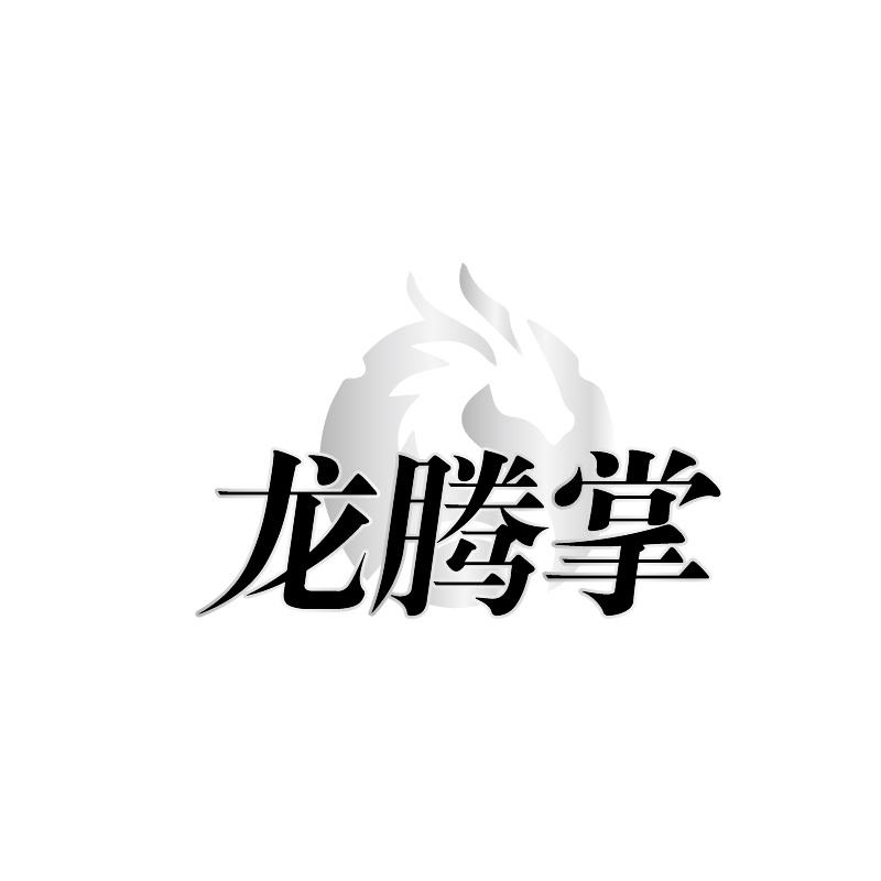 转让商标-龙腾掌