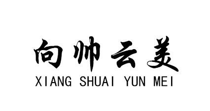 商标文字向帅云美商标注册号 55811822,商标申请人颜云的商标详情