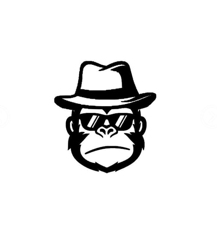 商标文字图形商标注册号 57444919,商标申请人芯品智