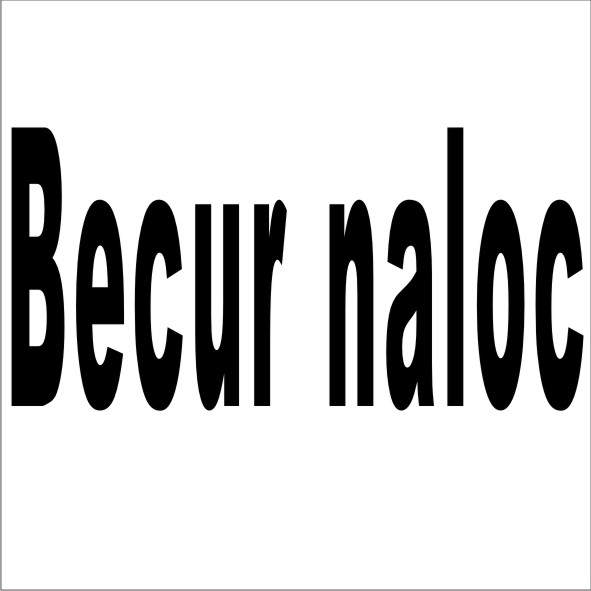 转让商标-BECUR NALOC