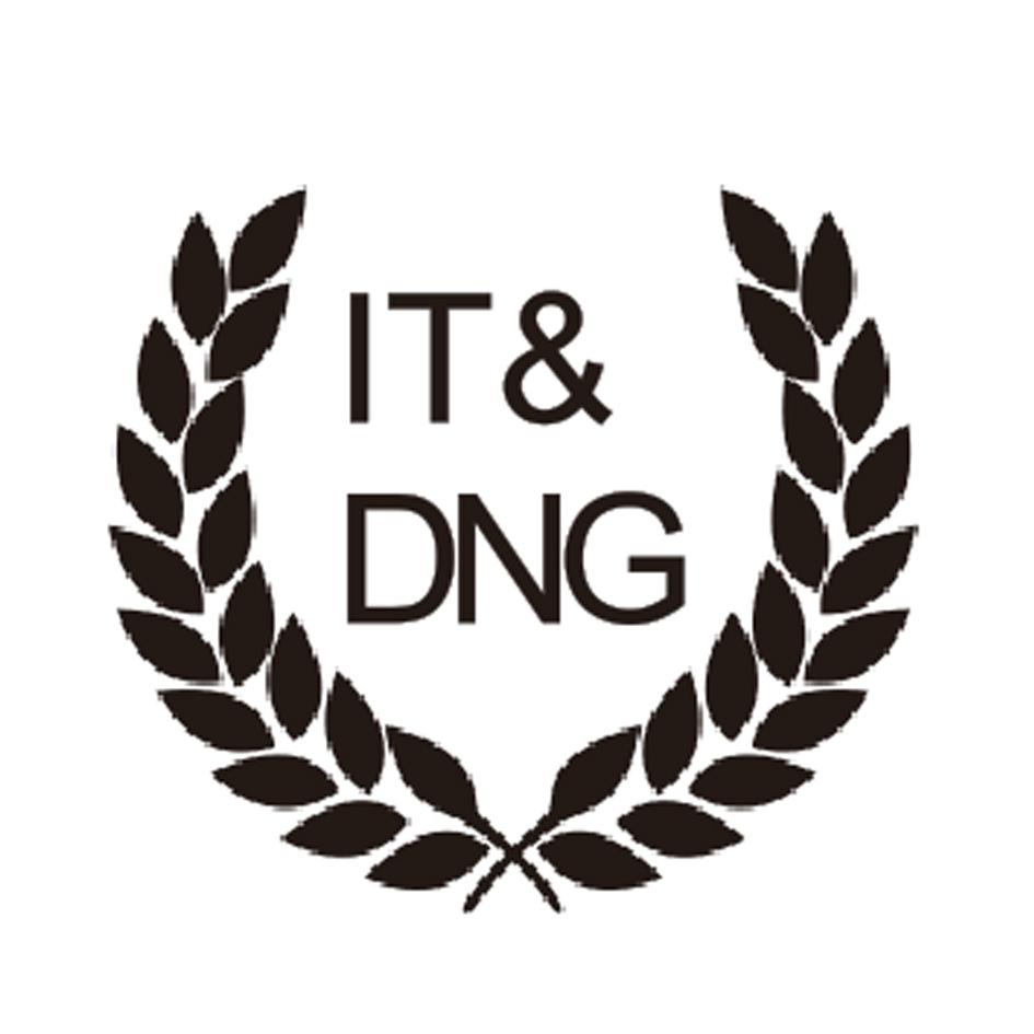 商标文字it&dng商标注册号 49133655,商标申请人