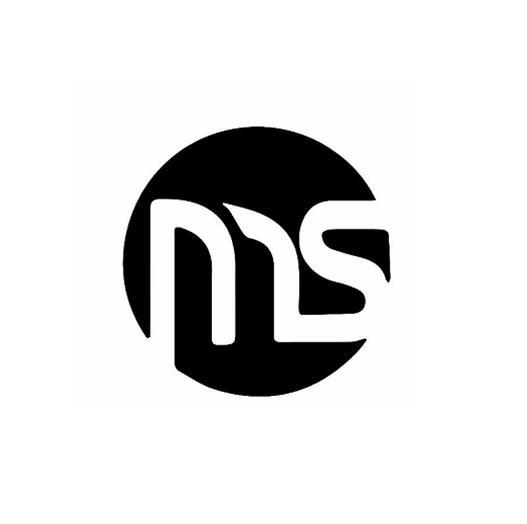 商标文字ms商标注册号 49203958,商标申请人嵊州市莫森电器有限公司的