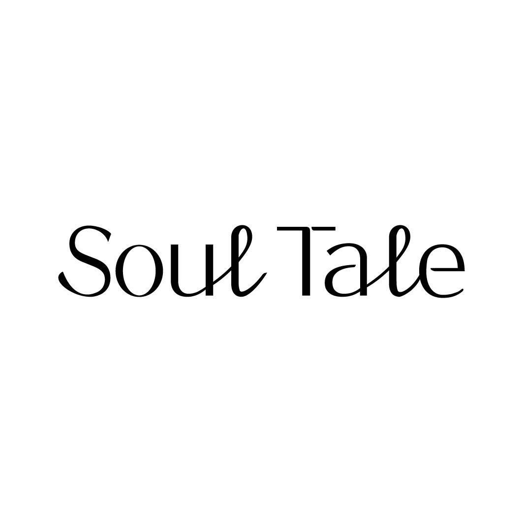 转让商标-SOUL TALE