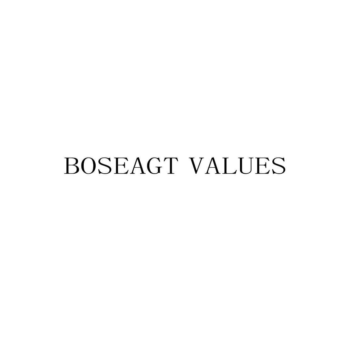 转让商标-BOSEAGT VALUES