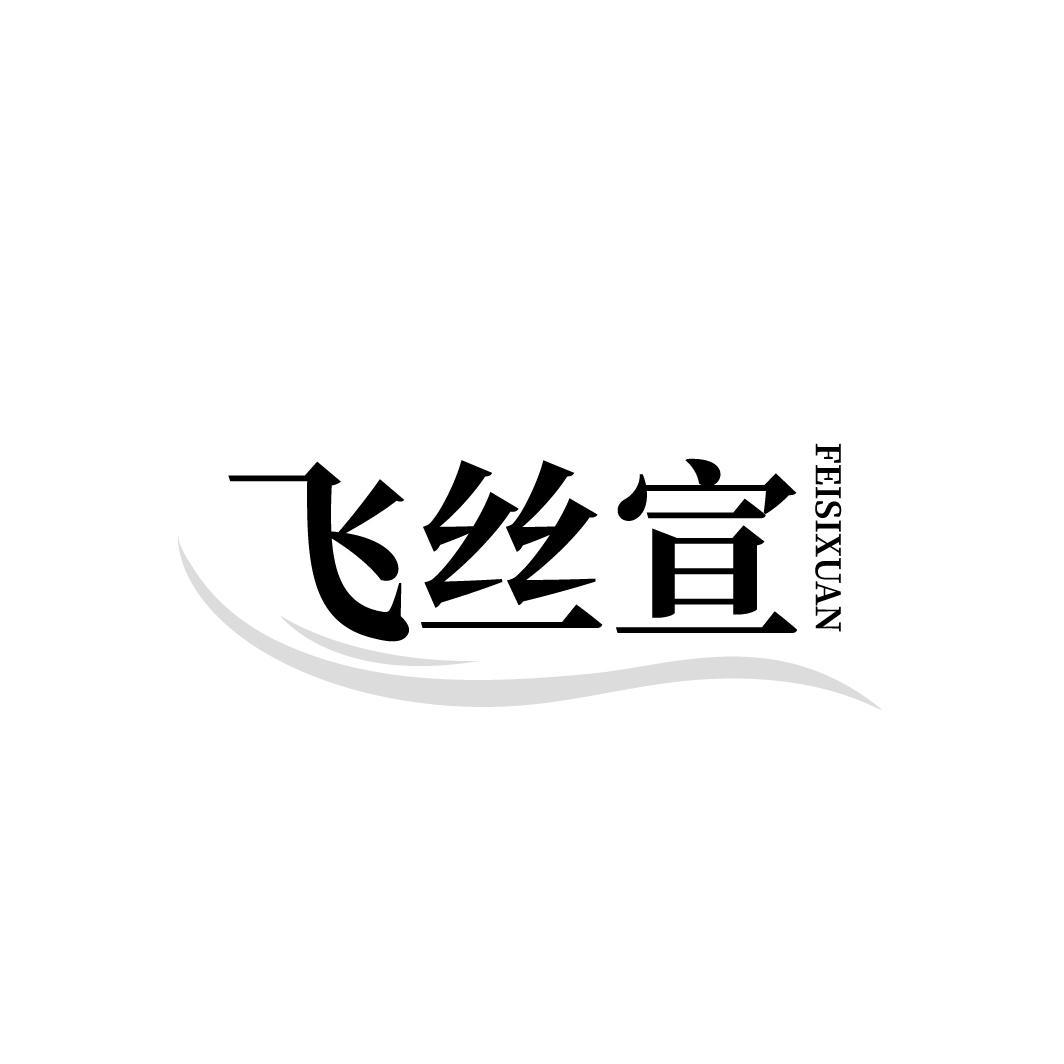 转让商标-飞丝宣