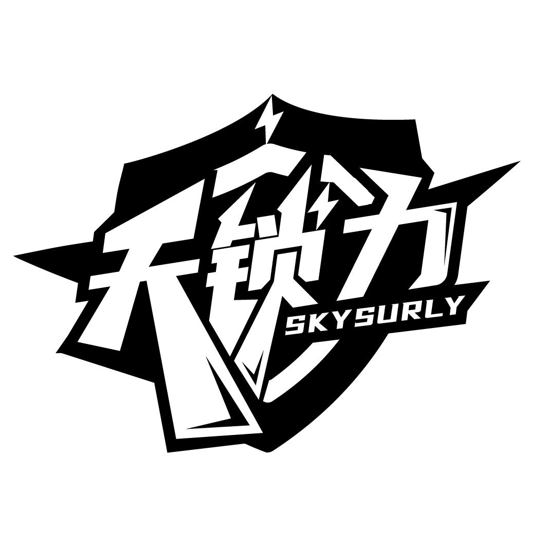 转让商标-天锁力 SKYSURLY