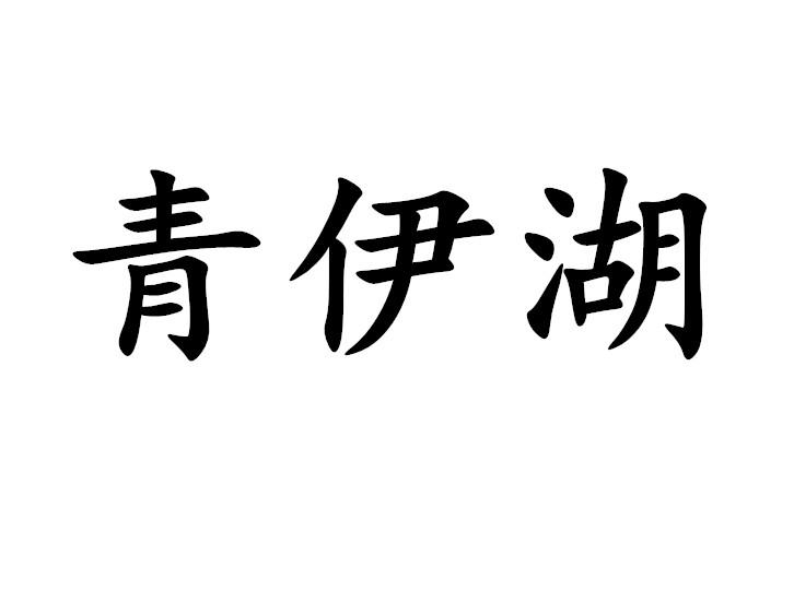 商标文字青伊湖商标注册号 19663062,商标申请人标镇网络科技(上海)