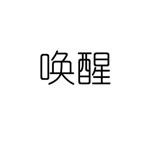 商标文字唤醒商标注册号 57115153,商标申请人南京自定义科技有限公司