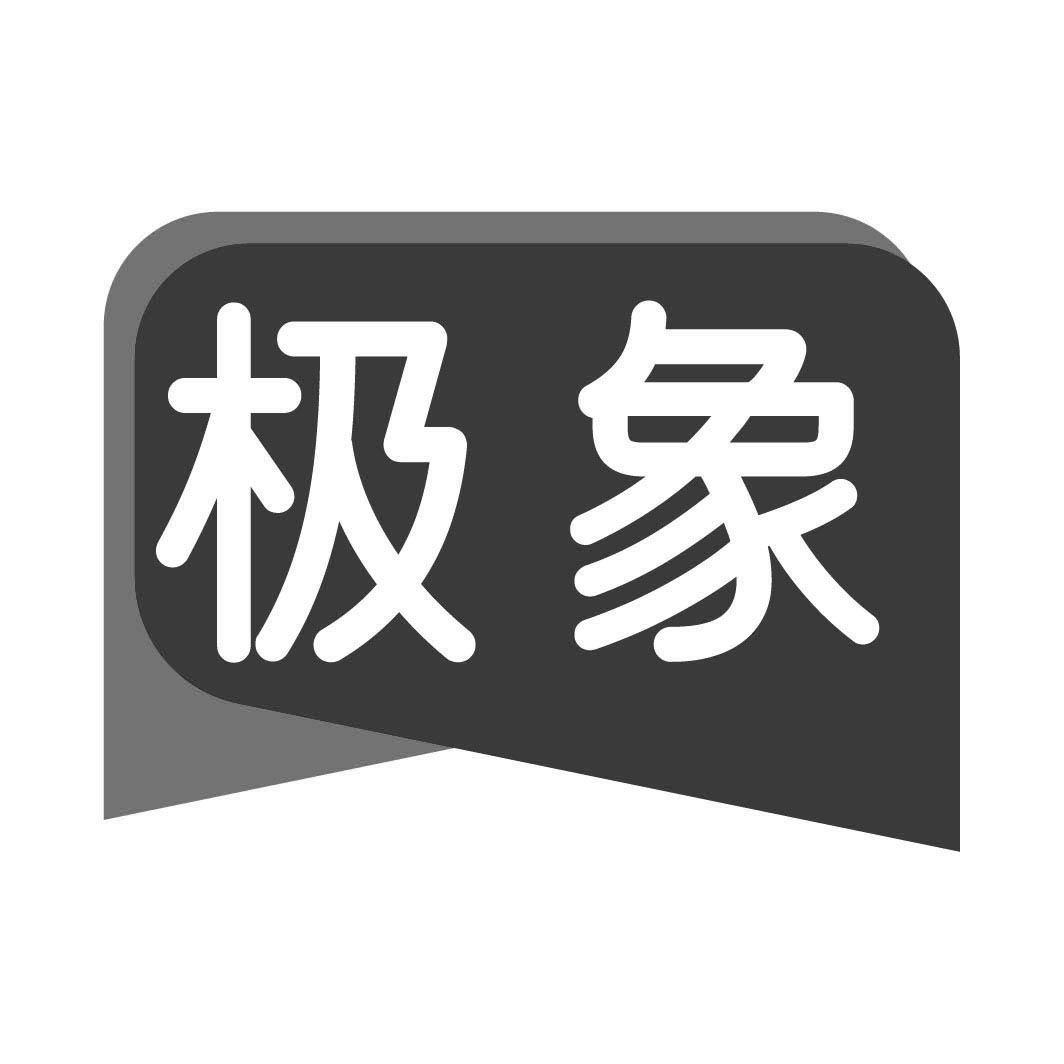 转让商标-极象