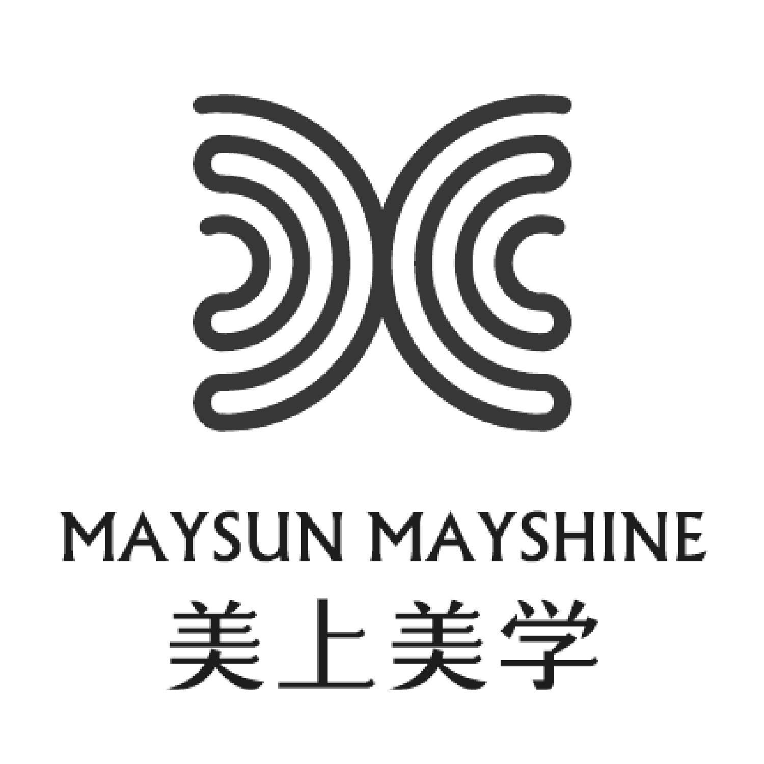 商標文字美上美學 maysun mayshine商標註冊號 19264001,商標申請人