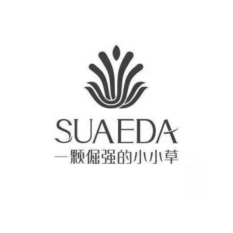 商标文字一颗倔强的小小草 suaeda商标注册号 56533030,商标申请人