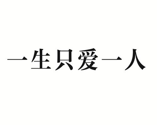 商标文字一生只爱一人商标注册号 18025875,商标申请人北京智德创辉