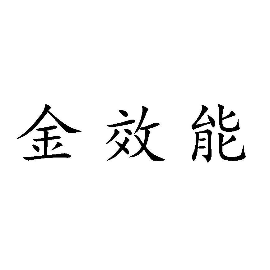 商标文字金效能商标注册号 48528958,商标申请人湖州金效能网络科技