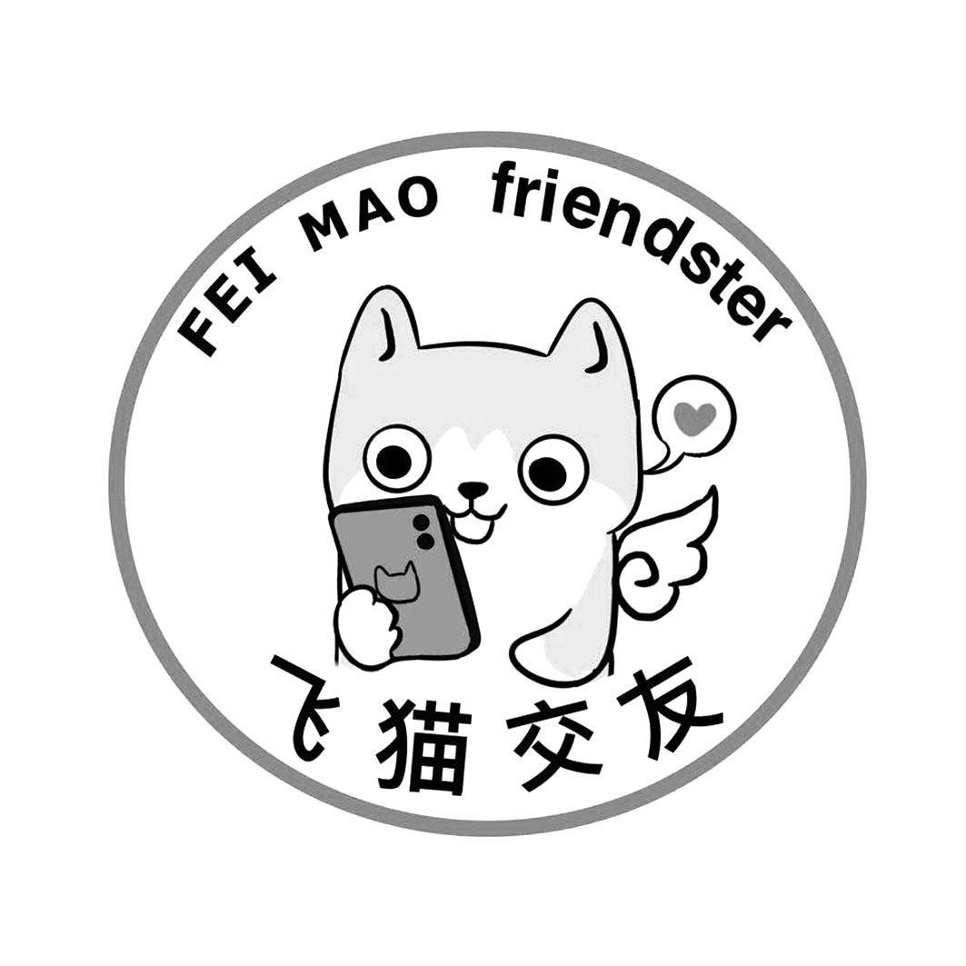 商标文字飞猫交友 fei mao friendster商标注册号 48670773,商标申请