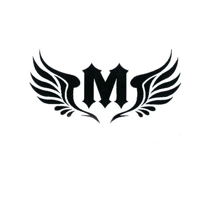 商标文字m商标注册号 54361180,商标申请人祖远志的商标详情 - 标库网