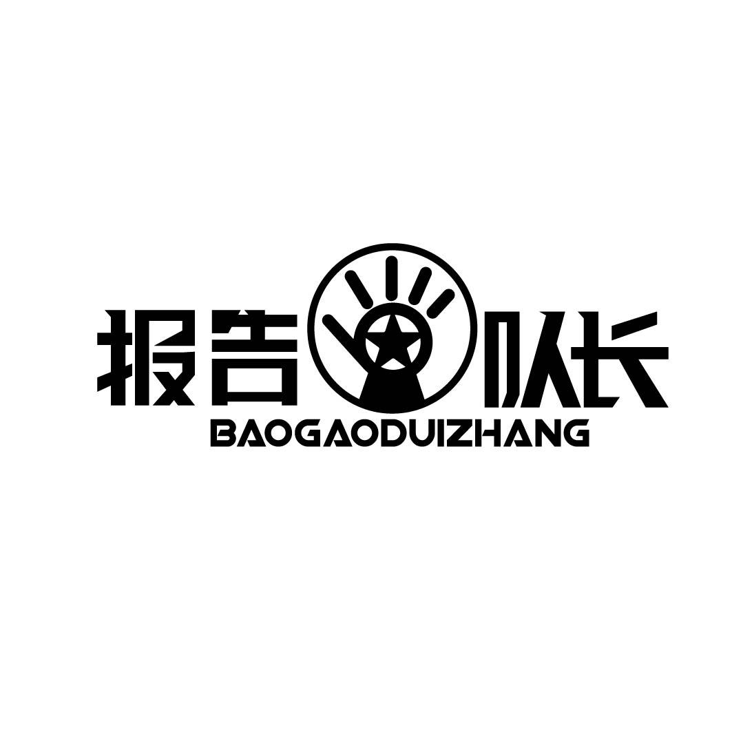 商标文字报告队长商标注册号 55341619,商标申请人丙丁林有限公司的