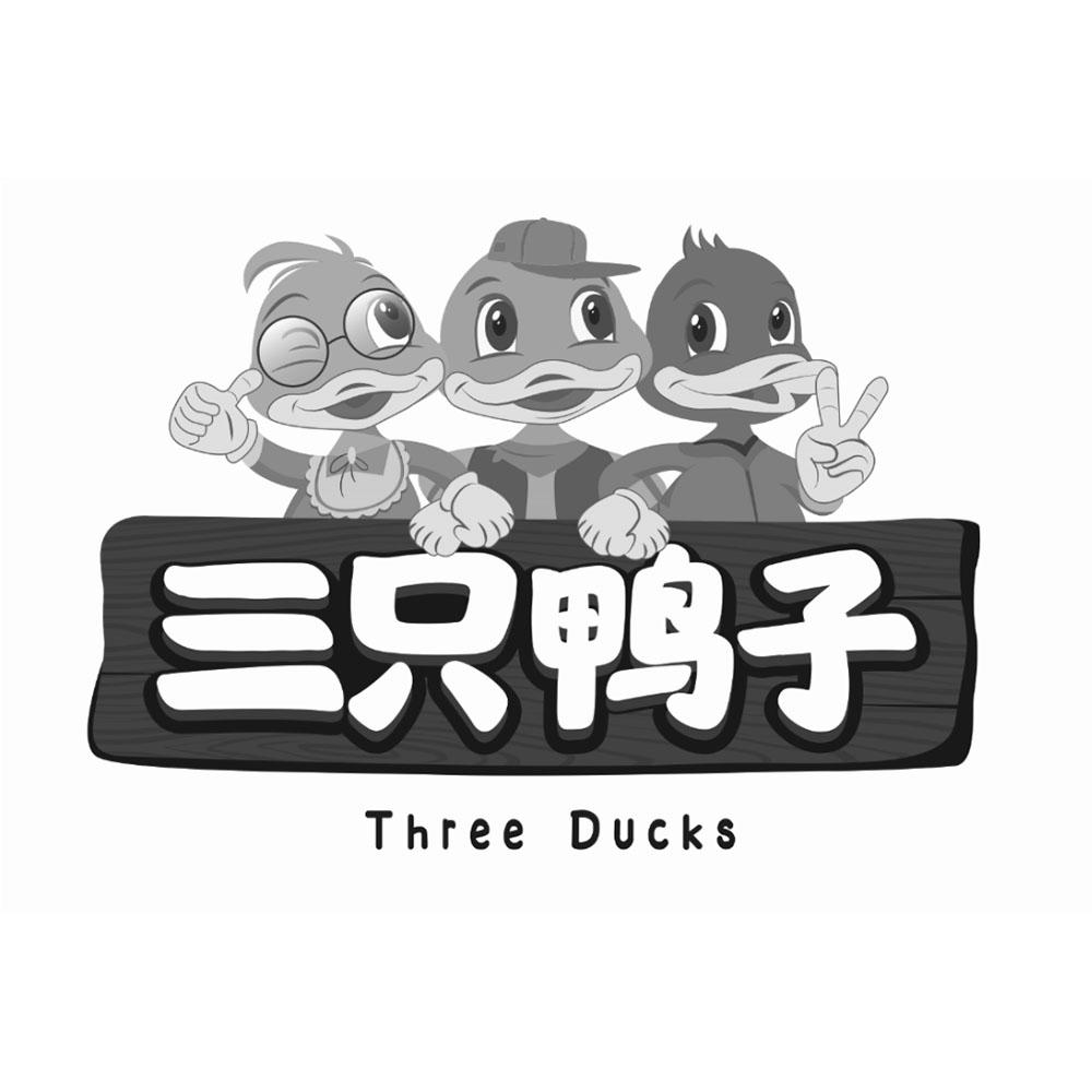 商标文字三只鸭子 three ducks商标注册号 53603728,商标申请人湖北三