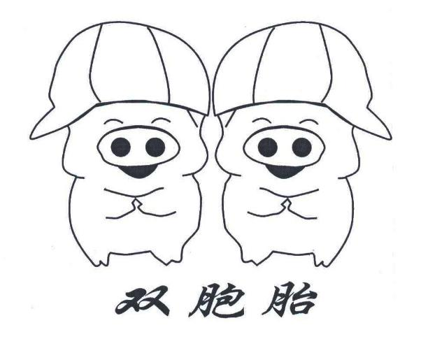 商标文字双胞胎商标注册号 45788925,商标申请人双胞胎(集团)股份有限