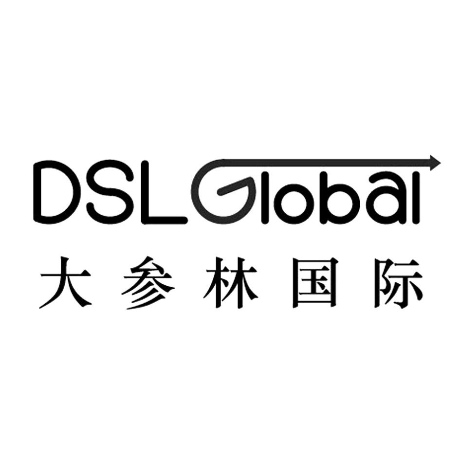 商标名称dsl global 大参林国际商标注册号 48076382,商标申请人
