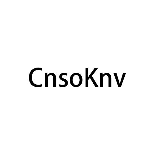 转让商标-CNSOKNV