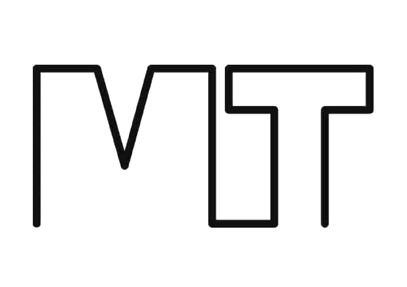 商标文字mt商标注册号 56549880,商标申请人美妆智能科技(太仓)有限