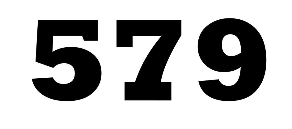 商标文字579商标注册号 51579918,商标申请人上海豪锐经济信息咨询