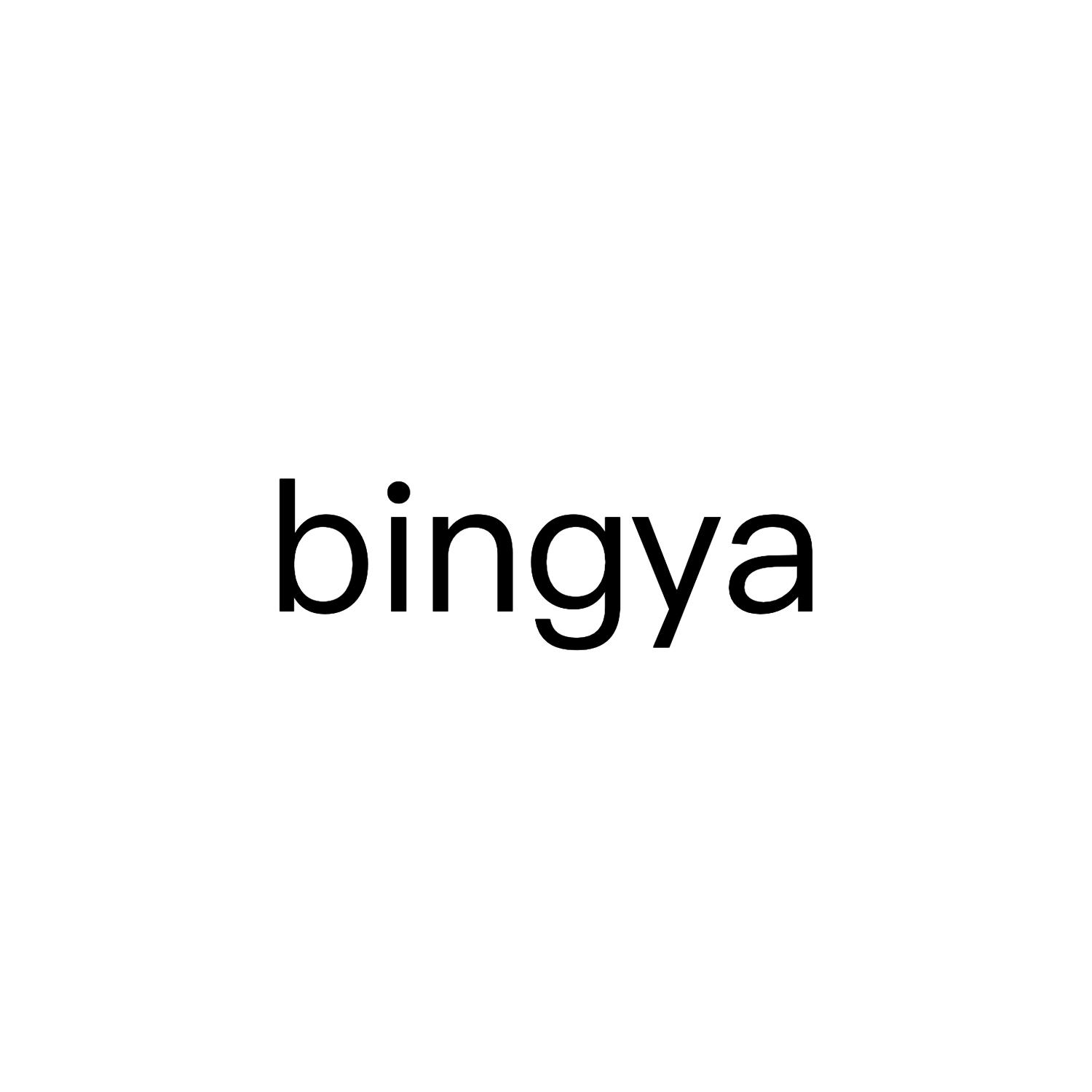 bing是什么意思中文=wellbing是什么意思中文