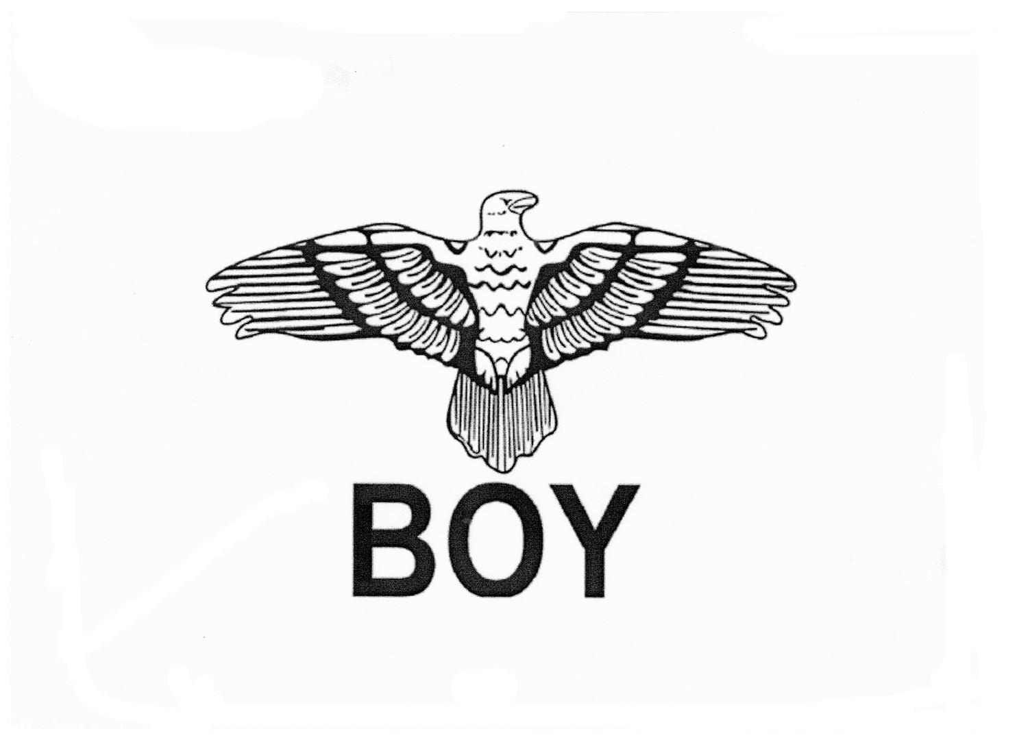 商标文字boy商标注册号 45172203,商标申请人石狮市瀚仕龙服饰有限