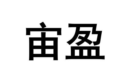 转让商标-宙盈