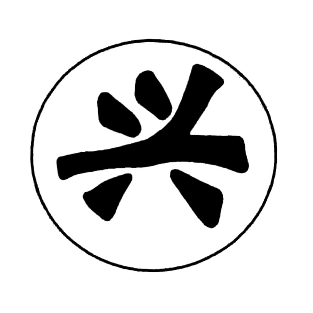 商标文字兴商标注册号 49404708,商标申请人正兴车轮集团有限公司的